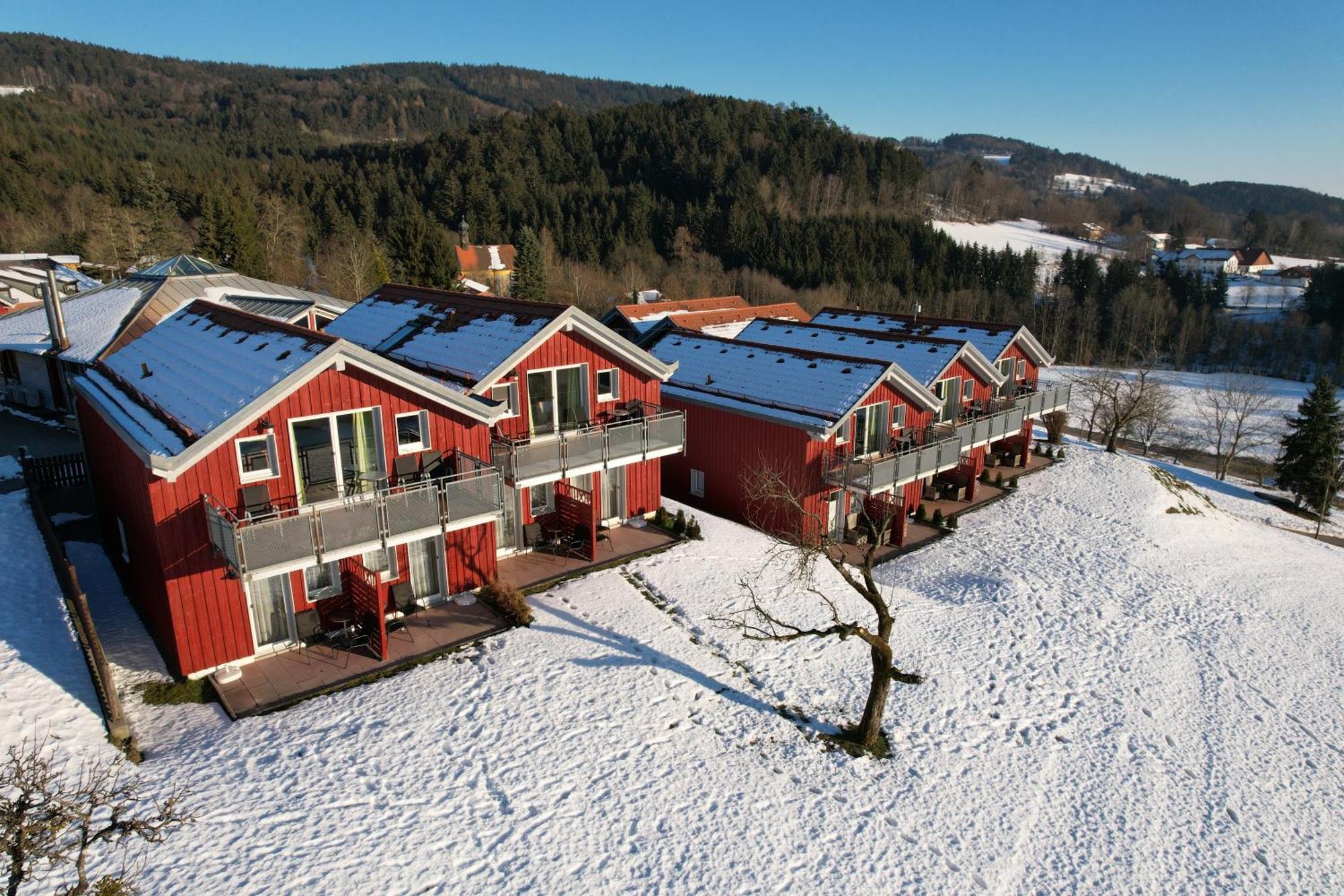 Village Hotel Bayerischer Wald Neukirchen  Esterno foto