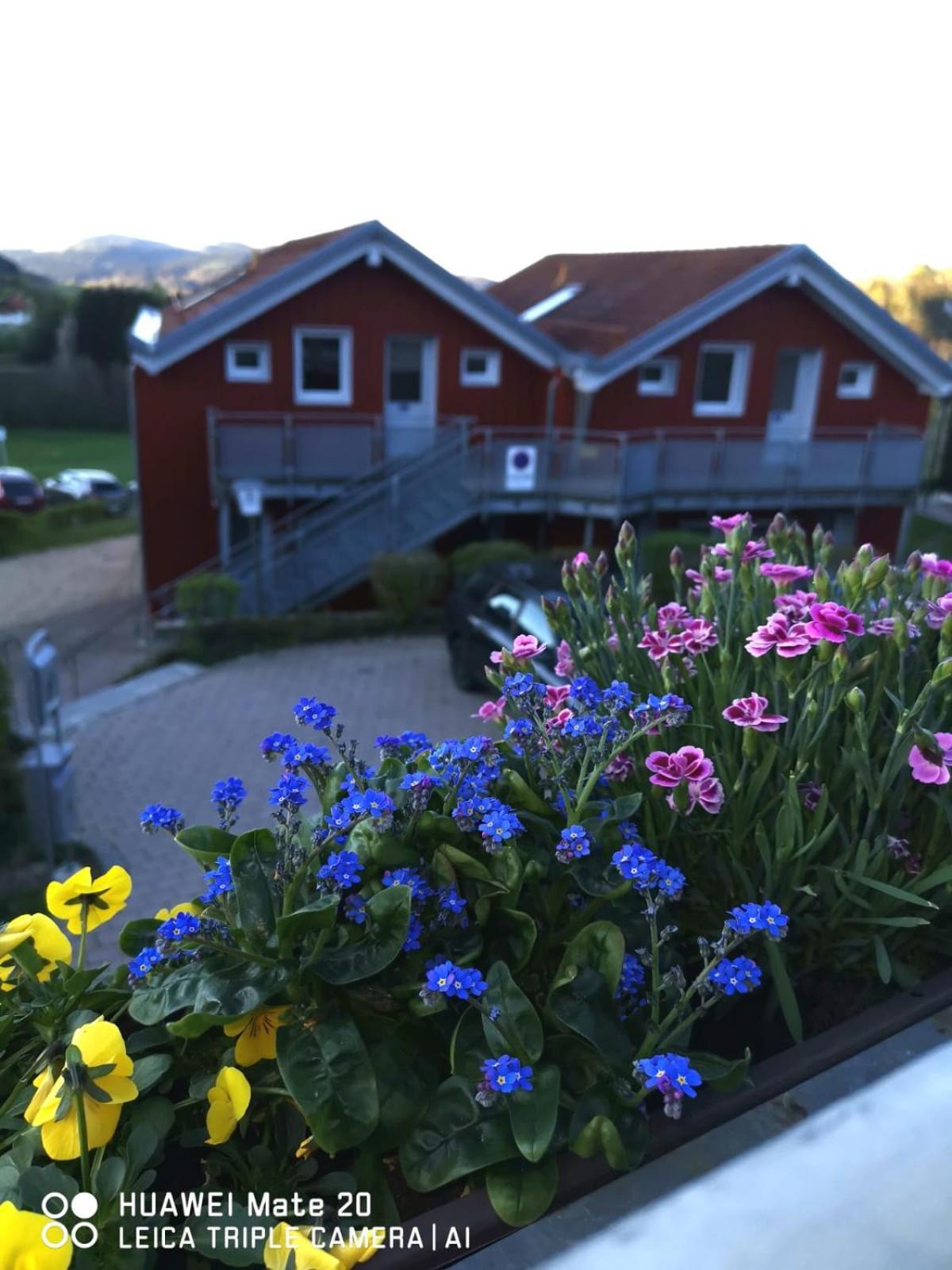Village Hotel Bayerischer Wald Neukirchen  Esterno foto
