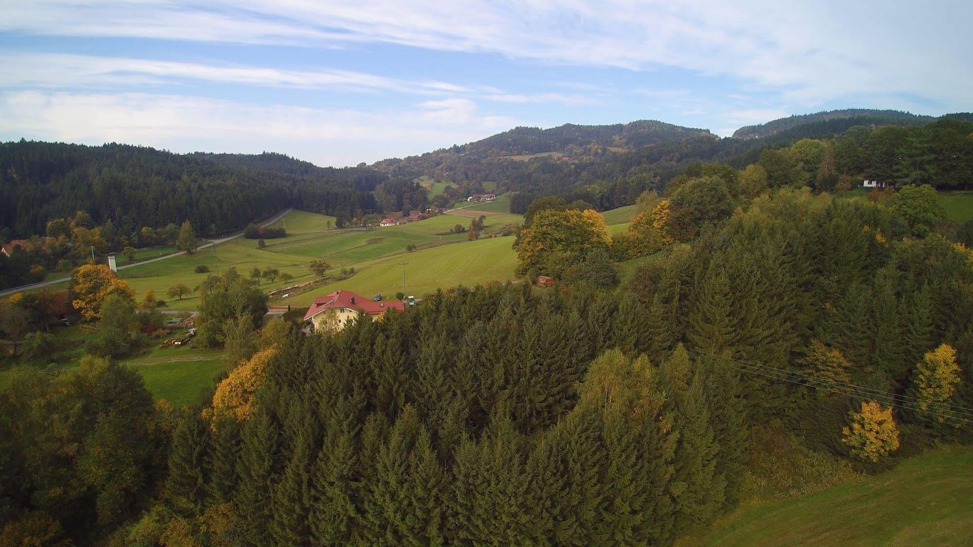 Village Hotel Bayerischer Wald Neukirchen  Esterno foto
